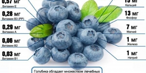 Džem od borovnica za zimnicu